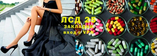 хмурый Алзамай