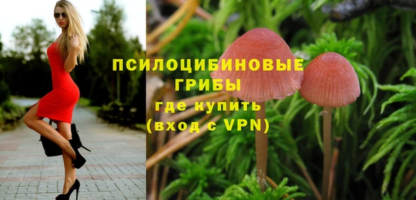 хмурый Алзамай