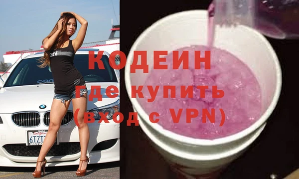 хмурый Алзамай