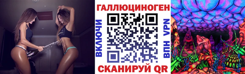 Псилоцибиновые грибы Psilocybe  Навашино 